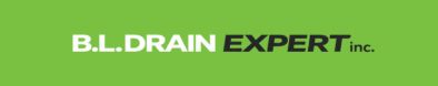 Logo Vert Bl Drain Expert En Drain Français